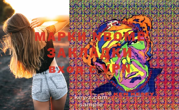 бошки Белокуриха