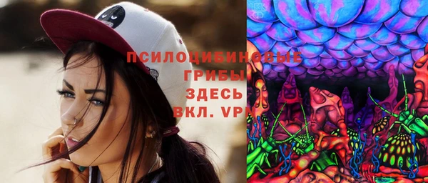 бошки Белокуриха