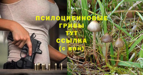 мескалин Пересвет