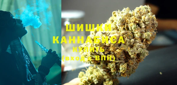 бошки Белокуриха