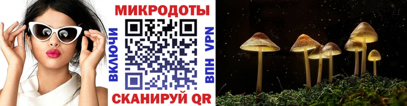 MEGA ссылки  Шарыпово  Галлюциногенные грибы Cubensis 